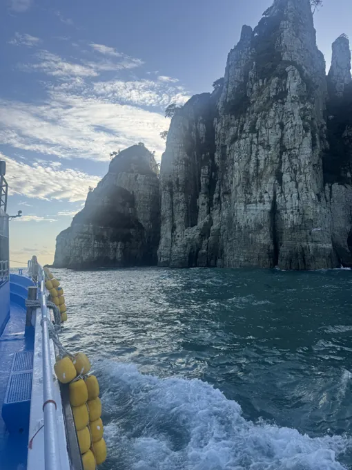 Busan e Isola di Geoje